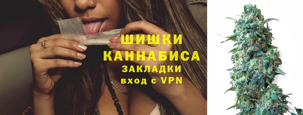 индика Абинск