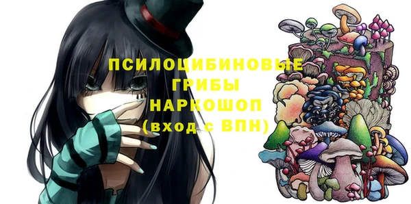 прущие грибы Алексеевка