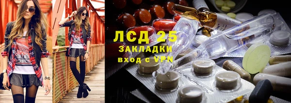 индика Абинск