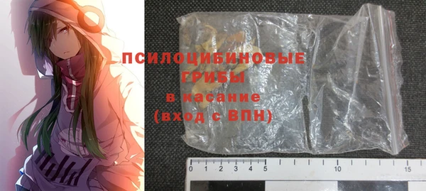 индика Абинск