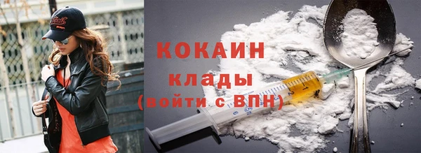 индика Абинск